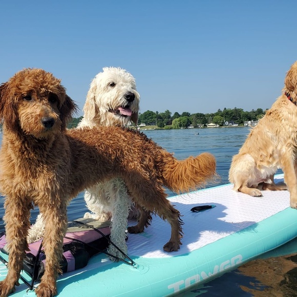 Meet your Posher, Kathie - Picture 1 of 10